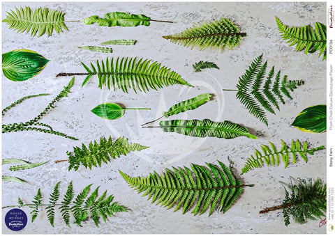 Posh Chalk Stony Fern The House Of Mendes decoupage CLEARANCE 70% OFF
