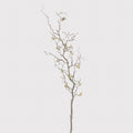 Faux Willow Branch With Catkins. Contorted - Single Stem