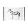 Acrylic Framed Print 30cm - Black & White Zebra - contemporary style